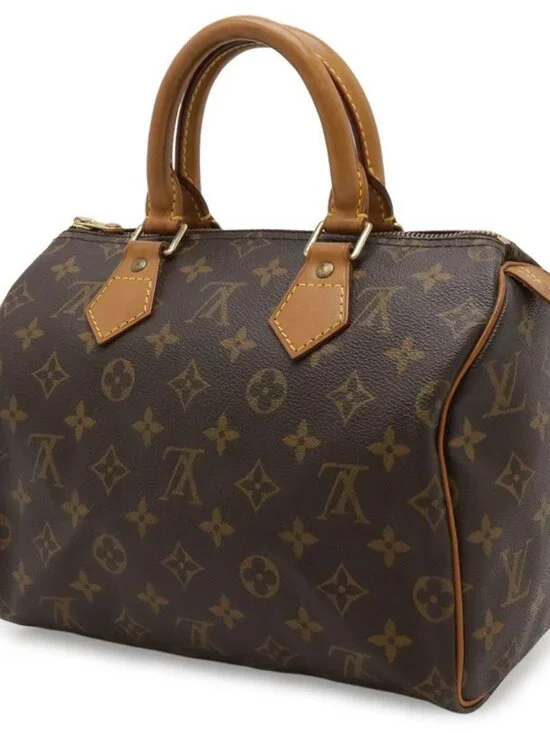 Louis Vuitton Monogram Speedy 25 Mini Boston Bag - Picture 2 of 8